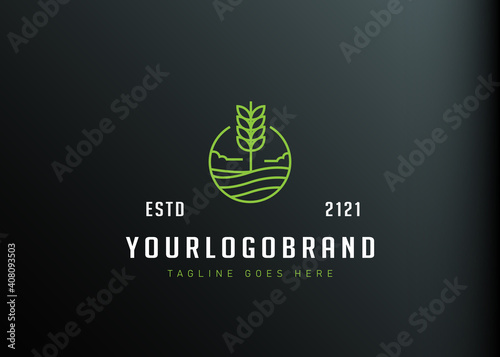 Wheat field logo design. Vector illustration of wheat agriculture monoline design. Modern vintage icon design template with line art style.
