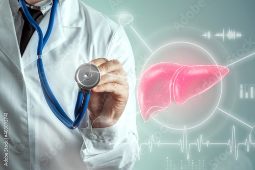 Doctor and Liver Hologram, liver pain and vital signs. Concept for technology, hepatitis treatment, donation, online diagnostics.