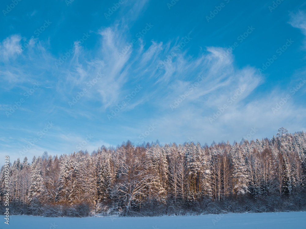 Snow-covered meadows and forest in the valley of the Stone Hill park on a frosty winter day. Beautiful landscape with conifer forest on snowy cloudy day. Frozen nature in fantastic white forest. Snow-covered meadows and forest in the valley of the Stone Hill park on a frosty winter day. Beautiful landscape with conifer forest on snowy cloudy day. Frozen nature in fantastic white forest.
