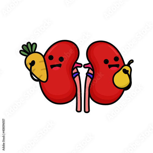 Cute kidney organ mascot design