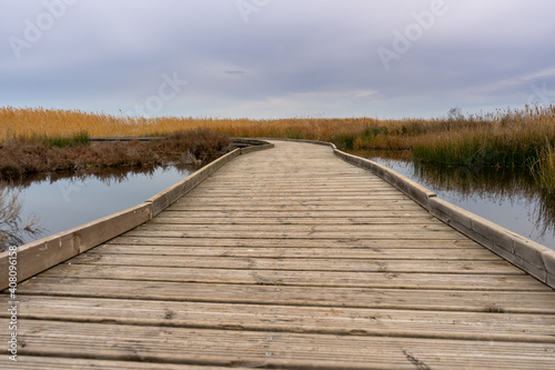 View of a wooden walkway in the natural reserve of plants and birds La Marjal els Moros in the town of Puzol in Spain