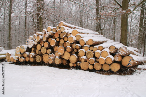 Brennholz in langer Form von Schnee bedeckt wurde auf einen Stapel gestapelt