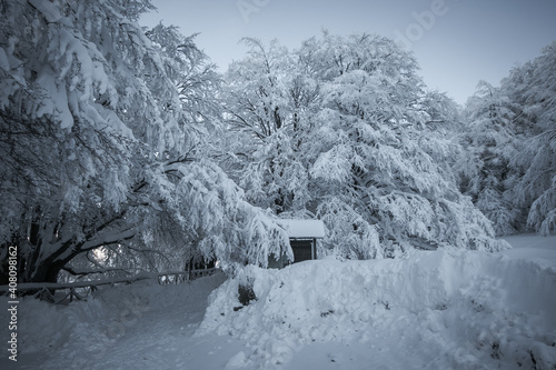 Wonderful winter landscape of Pian delle Macinare, Monte Cucco with many snow in Umbria photo