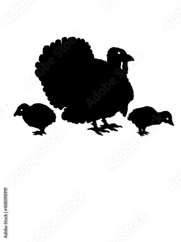 Truthahn Familie Küken 