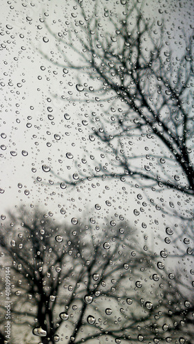 Autumn raindrops on a background of gray sky and tree branches
