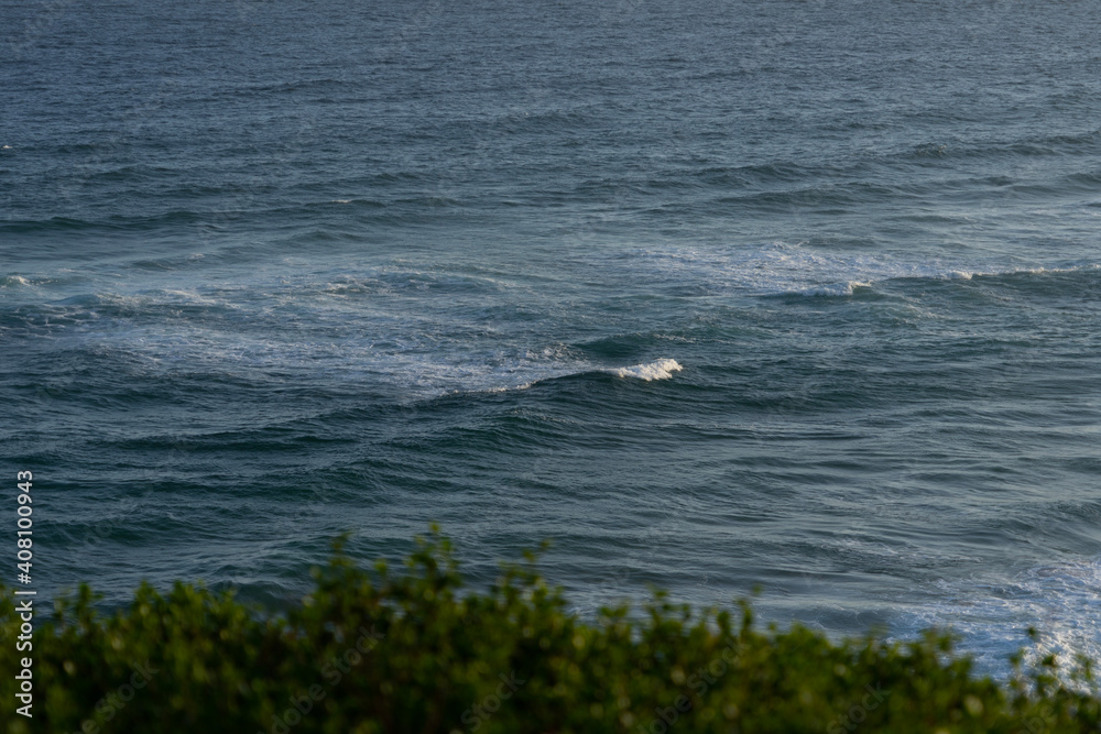 Fototapeta premium calming waves at the Indian Ocean