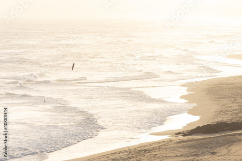 beach in the morning