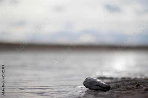 Close-up of a rock on a Dutch beach (Kijkduin, Netherlands)