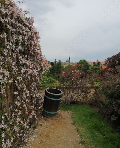 Park in the old town Prague

Prague, Czech Republic - May 3rd 2019