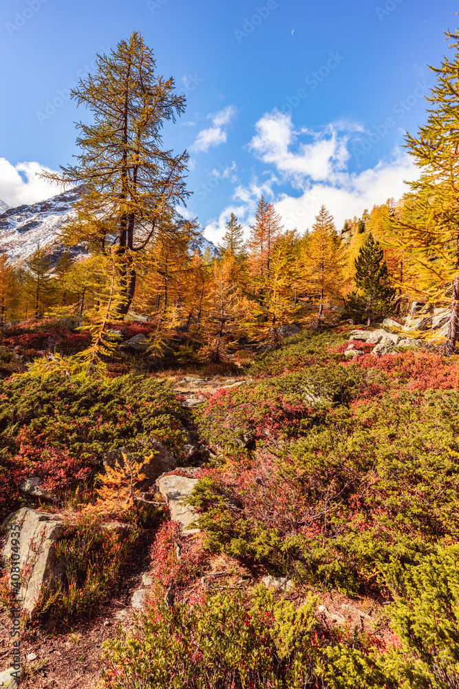 Arpy Lake and the surroundings area during the fall and changing of the colors. Foliage, reflection and snowy peaks.