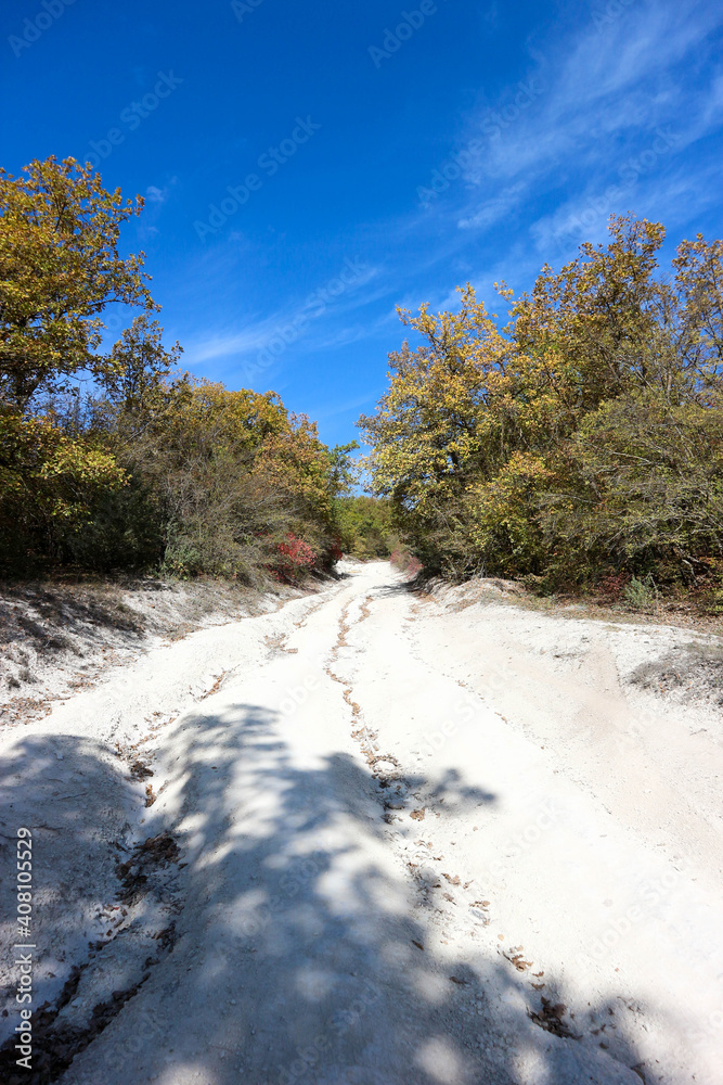 beautfiul view of mountain road in autumn with colorful forest beautfiul view of mountain road in autumn with colorful forest