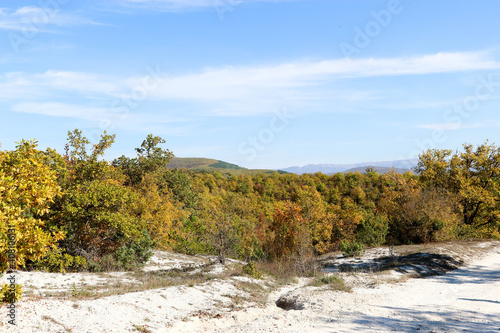 Beautiful autumn landscape with colorful trees and mountains in Crimea