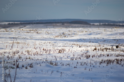 Harvested field in the snow © onyx124