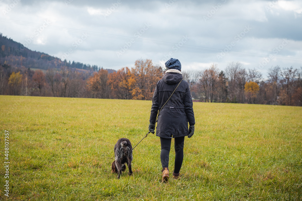 walk of young woman in dark coat and her dog Cesky fousek breed. Bohemian Wire-haired Pointing Griffon tries to find scent, and young woman enjoys her freedom. Authentic situation. Candid portrait