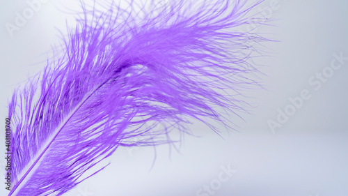 Blue feather isolated on white background. Close up. © Michael