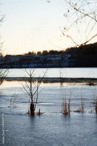Nature photos from a large lake just outside Oslo, Norway. Bogstadvannet it is called. It is a cold day and the ice is glazing in the sunshine. Shot in january.