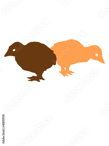 2 Vogel Küken 