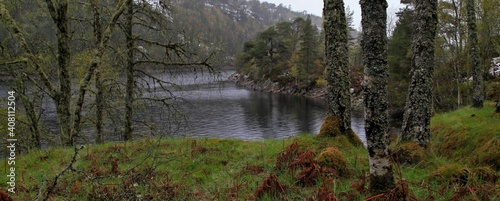 Bild auf Leinwand Glen Affric Scotland banner