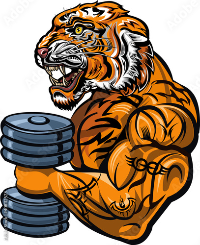 Saber-toothed tiger. Weightlifting power sport. Fitness gym