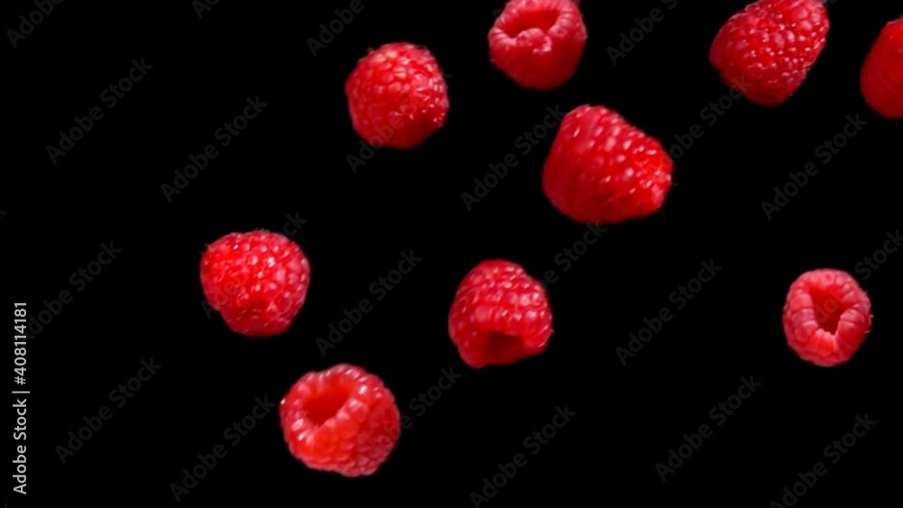 Red ripe juicy raspberries are falling down diagonally on a black background in slow motion