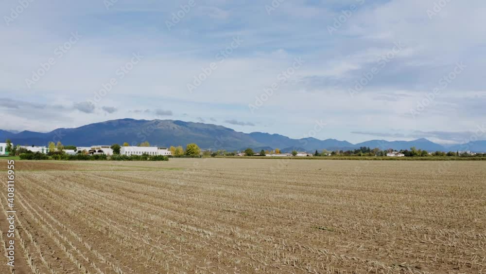 Aerial flyover growing wheat field In Italy during summer and beautiful mountain landscape at horizon. Aerial flyover growing wheat field In Italy during summer and beautiful mountain landscape at horizon.