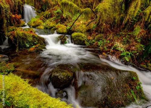 Waterfall creek with mossy banks photo