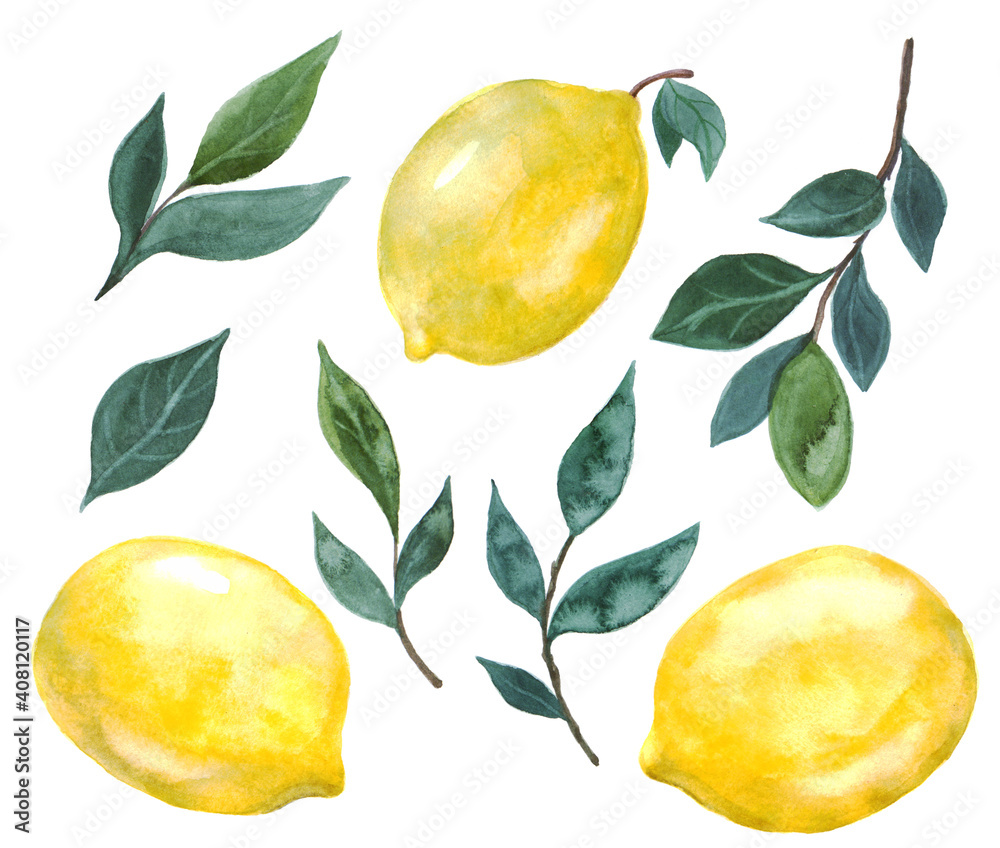 Watercolor illustration with beautiful yellow lemons and green leaves ...