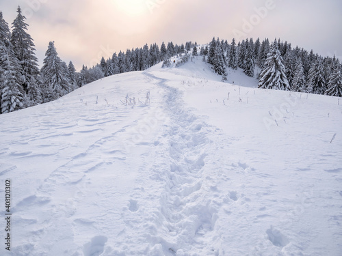 Winter landscape with a trail or foot path in the fresh white snow and the sunlight shining. Carpathian Mountains in Romania