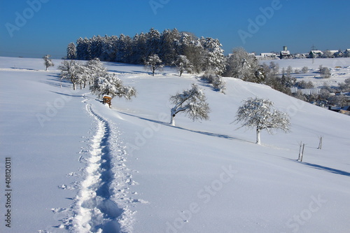 Winter in Unteriflingen