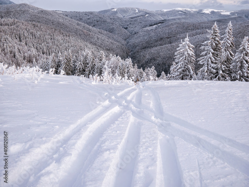 Ski track on fresh snow. Winter sports background © Cristi
