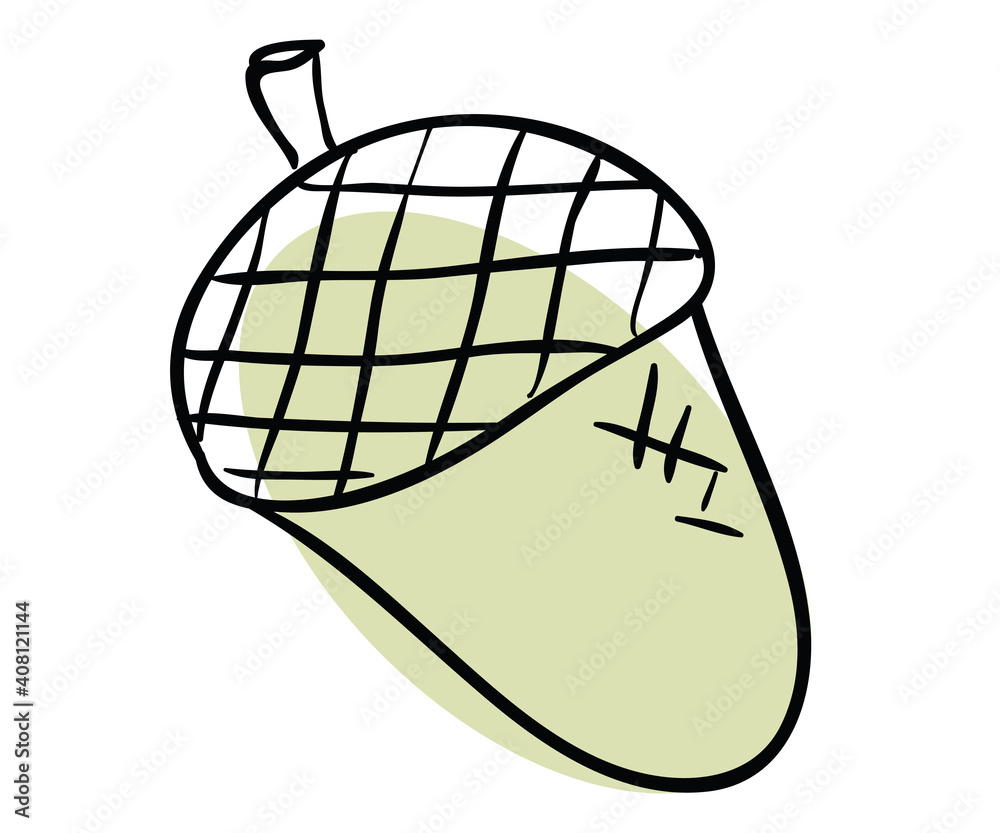Oak acorn is on a white backgrond Oak acorn is on a white backgrond