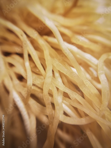 Hair of a leek in close-up