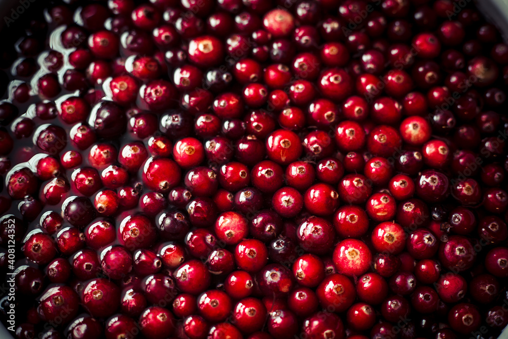 red cranberries background red cranberries background