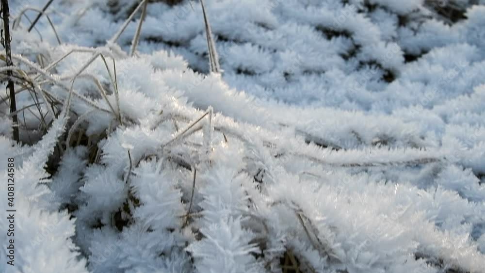 Close-up view of dry grass in severe frost covered with ice crystals that look like snowflakes at sunset in forest. Beautiful nature background. Winter weather forecast theme. Close-up view of dry grass in severe frost covered with ice crystals that look like snowflakes at sunset in forest. Beautiful nature background. Winter weather forecast theme.