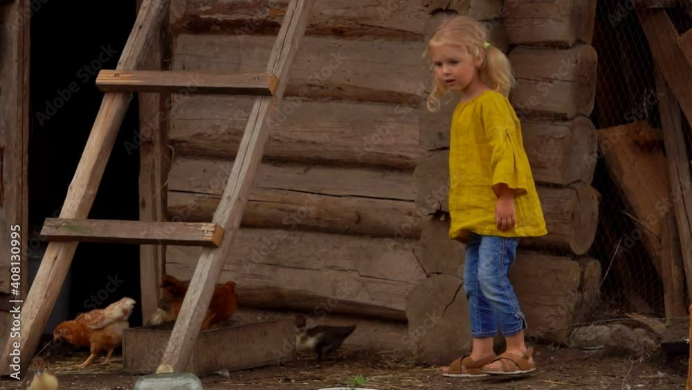 A cute little blond girl is amused by the cute tiny ducklings walking on the bird farm A cute little blond girl is amused by the cute tiny ducklings walking on the bird farm