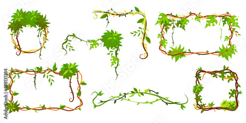 Collection of green tropical frame. Cartoon frame shaped lianas, jungle plant branches with leaves, borders with copy space. Isolated vector illustration for nature, organic decor, game concept