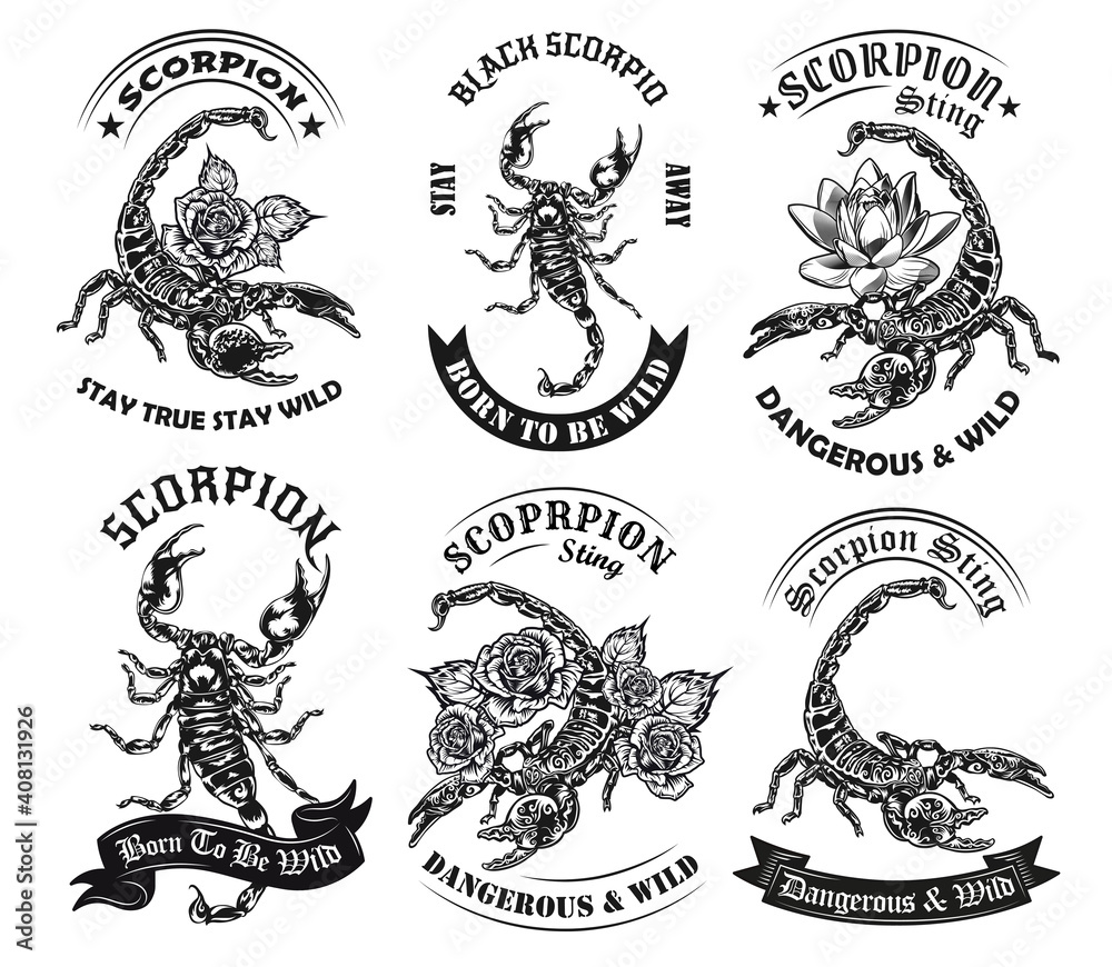 scorpion with a rose tail. | Future tattoos, Scorpion tattoo, Tattoos