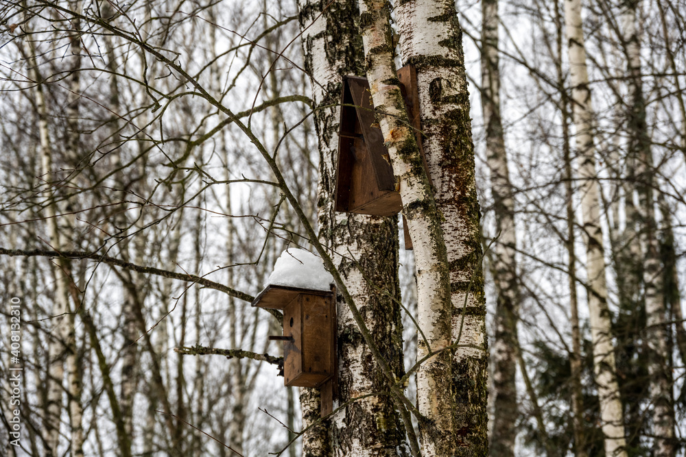 birdhouses for birds of different shapes and sizes in the winter forest