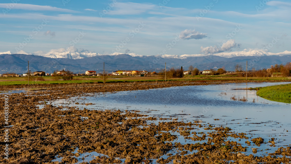 Panoramic view of extensive flooding in the Tuscan countryside near Bientina, Italy, with snow capped mountains in the background
