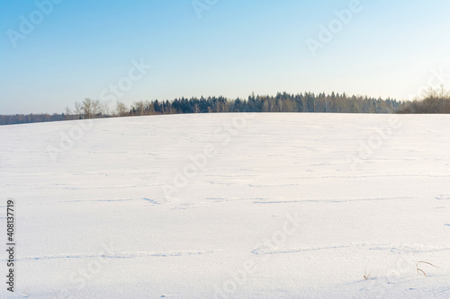 White snow-covered hilly field, on the horizon a group of dark trees against a background of snow and blue sky. Winter landscape background