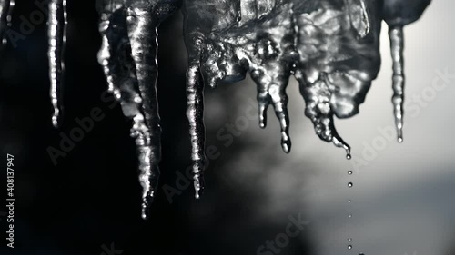 Wallpaper Mural slowmotion of dripping icicles on a warm bright sunny day. Melting icicle on a blue background, seamless loop. Endless loop, loopable Torontodigital.ca