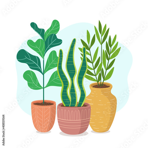 Houseplants with long stem. Cute green plants and pots composition.