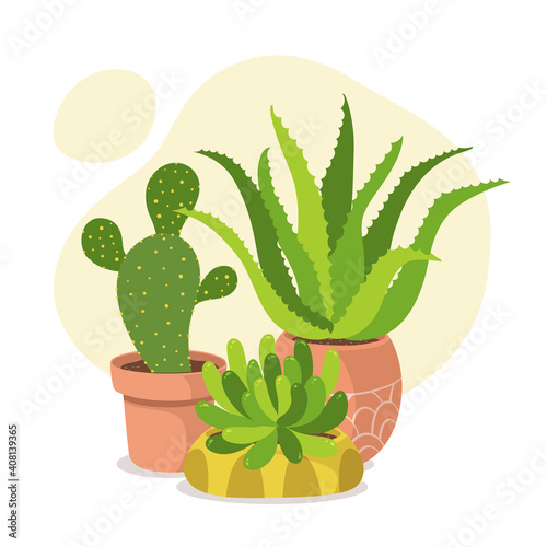 Cute houseplant composition with cacti and succulent plants. Green and healthy decoration.