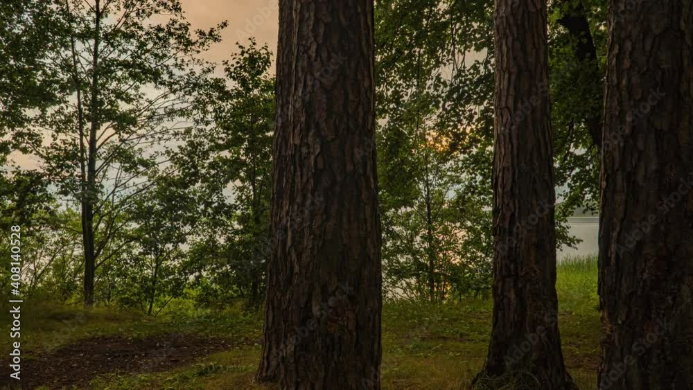 Beautiful summer sunset in the forest by the forest lake, Hyperlapse, camera movement Beautiful summer sunset in the forest by the forest lake, Hyperlapse, camera movement