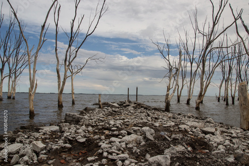 Lago con   rboles en ruinas de Epecuen  Buenos Aires.