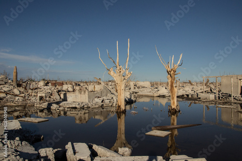 Lago con árboles en ruinas de Epecuen, Buenos Aires.