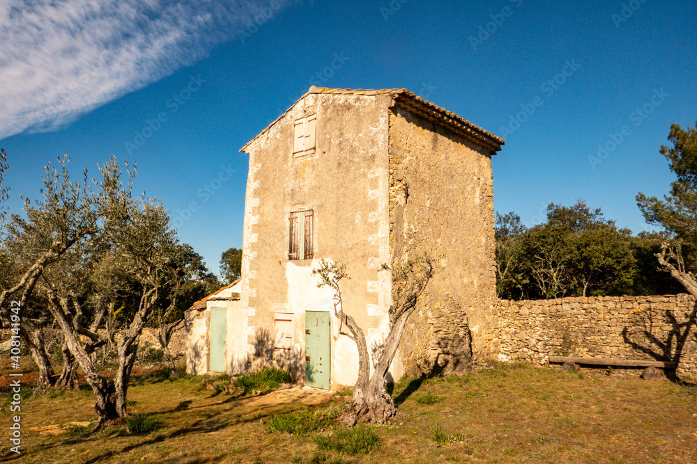 agricultural construction and olive grove