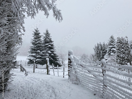 Ländliche Landschaft im Schnee mit Weidezaun © contadora1999