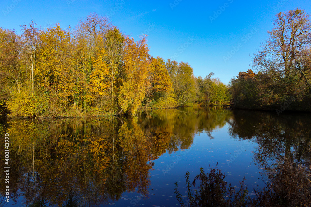 Beautiful pastoral view from Vondelpark in Amsterdam, Netherlands. Autumn trees and their reflections on the lake. 