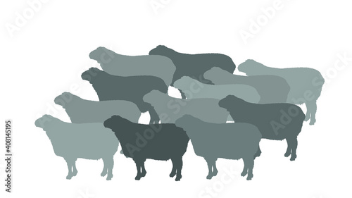 Flock of sheep vector silhouette illustration. Lamb meat. Butcher shop template for craft food packaging or restaurant design. Domestic animal symbol.